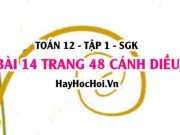 Bài 14 trang 48 Toán 12 tập 1 Cánh Diều